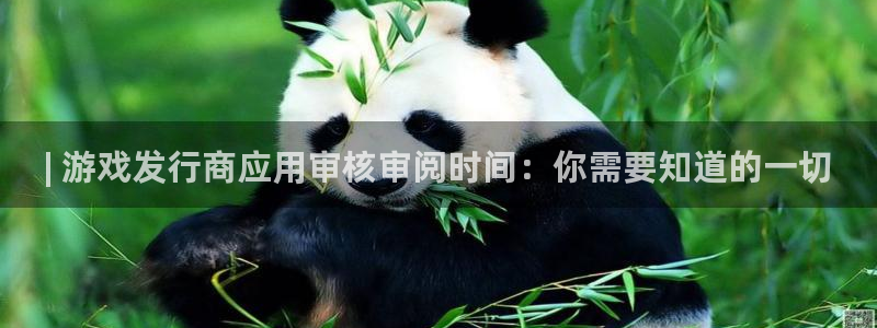 天辰平台怎么样