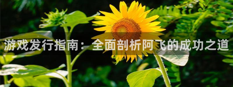 天辰平台给下级分红怎么派发的：游戏发行指南：全面剖析阿飞的成功之道