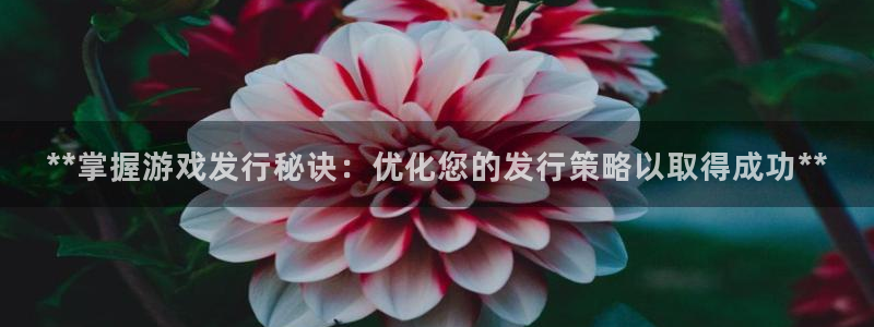 天辰注册会员怎么取消：**掌握游戏发行秘诀：优化您的发行策略以取得成功**