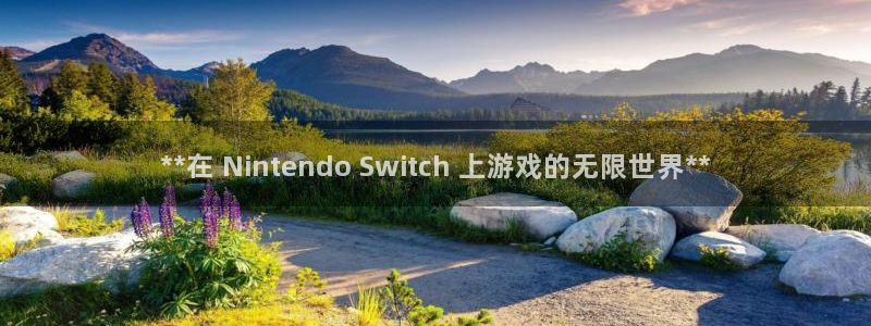 天辰平台开户的微博视频：**在 Nintendo Switch 上游戏的无限世界**