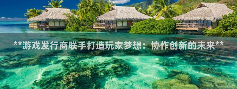 天辰娱乐厅破解规律透视辅助：**游戏发行商联手打造玩家梦想：协作创新的未来**