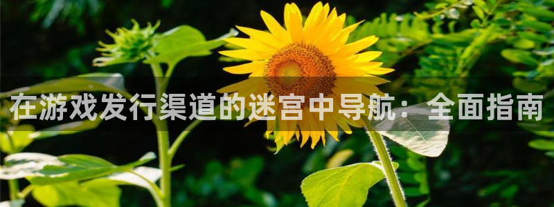 天辰平台注册地址在哪里看：在游戏发行渠道的迷宫中导航：全面指南