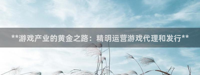 天辰娱乐的老板是谁：**游戏产业的黄金之路：精明运营游戏代理和发行**