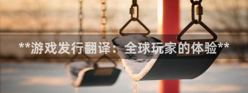 天辰平台 专用通道安全稳定：**游戏发行翻译：全球玩家的体验**