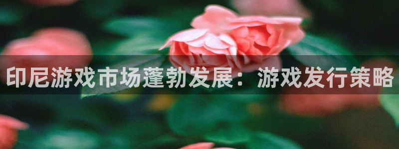 天辰平台注册地址在哪