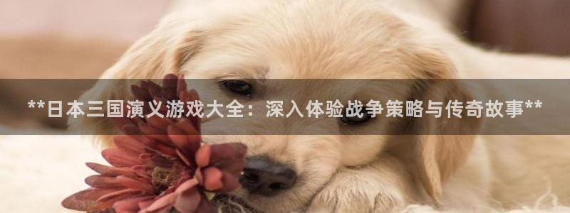 天辰平台注册登录地址怎么改
