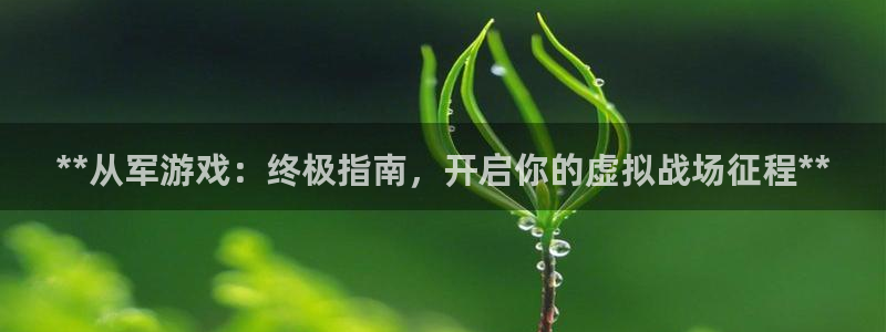 天辰娱乐都是干什么的：**从军游戏：终极指南，开启你的虚拟战场征程**