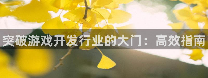 天辰娱乐代理注册平台登录系统：突破游戏开发行业的大门：高效指南