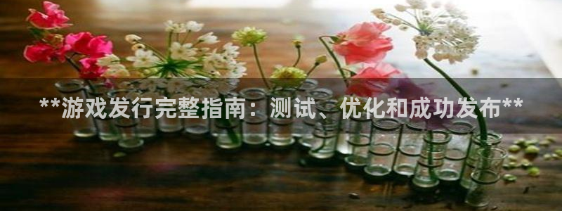 天辰娱乐代理注册平台登录系统：**游戏发行完整指南：测试、优化和成功发布**