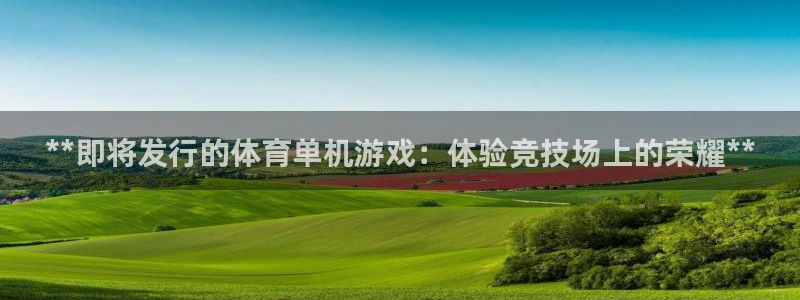 天辰平台陪 37oo735：**即将发行的体育单机游戏：体验竞技场上的荣耀**