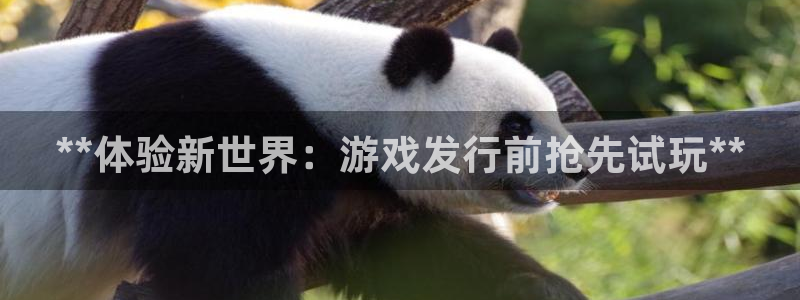 天辰平台注册登录地址在哪里：**体验新世界：游戏发行前抢先试玩**