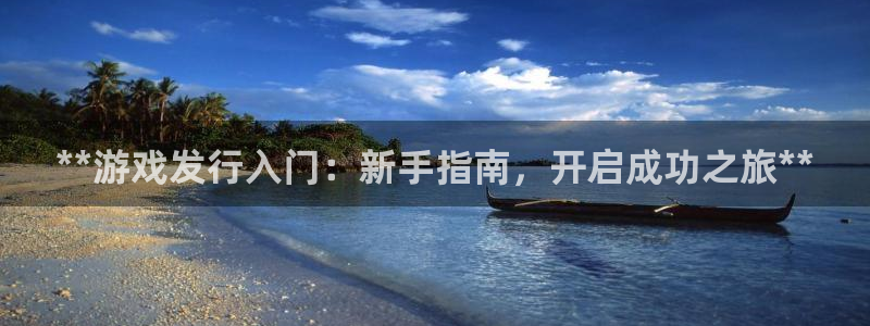 天辰平台告7O777：**游戏发行入门：新手指南，开启成功之旅**