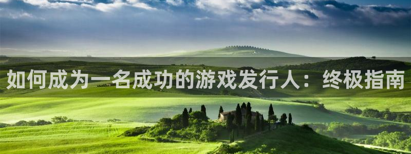 天辰平台用户注册流程：如何成为一名成功的游戏发行人：终极指南