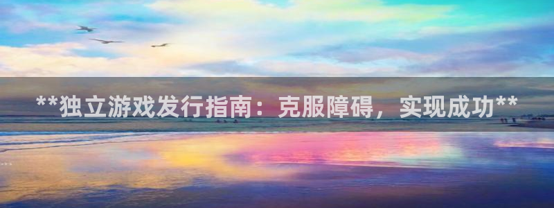 天辰娱乐的老板是谁啊：**独立游戏发行指南：克服障碍，实现成功**
