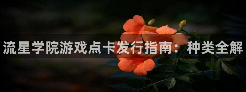 天辰平台注册登录地址在哪里找：流星学院游戏点卡发行指南：种类全解
