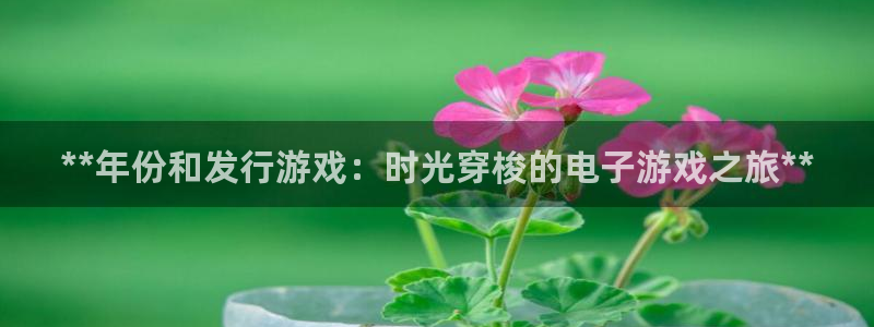 天辰平台搜索 58534I 平台：**年份和发行游戏：时光穿梭的电子游戏之旅**