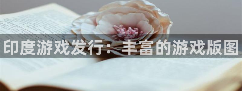 天辰测速登陆：印度游戏发行：丰富的游戏版图