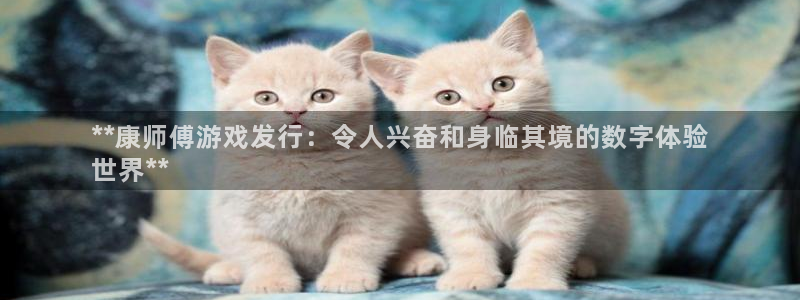 天辰平台网址：**康师傅游戏发行：令人兴奋和身临其境的数字体验
世界**