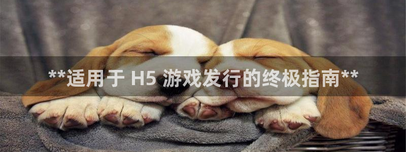 天辰娱乐厅破解规律透视辅助：**适用于 H5 游戏发行的终极指南**
