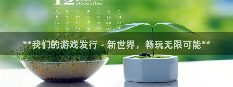 天辰平台荐 5O6917 天辰：**我们的游戏发行 - 新世界，畅玩无限可能**