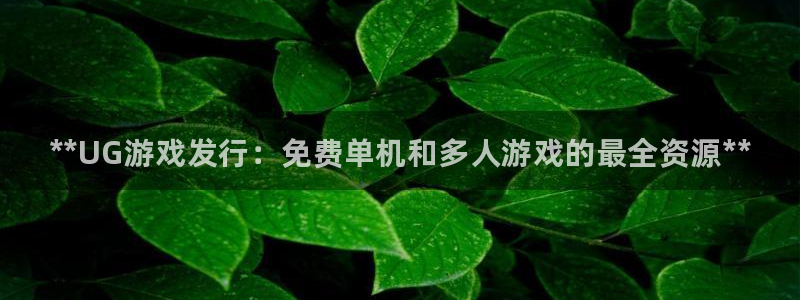 天辰测速希希游戏：**UG游戏发行：免费单机和多人游戏的最全资源**