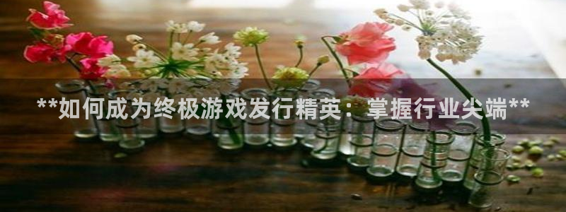 天辰娱乐app里面做任务是真的吗贴吧：**如何成为终极游戏发行精英：掌握行业尖端**