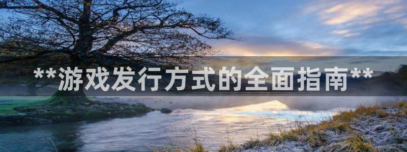 天辰注册141一 581：**游戏发行方式的全面指南**