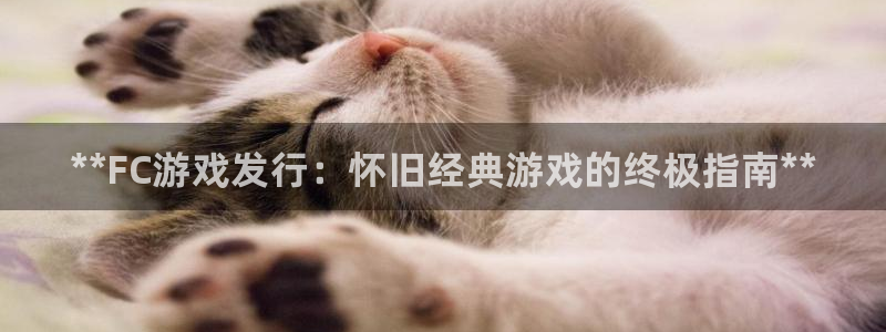 天辰信息：**FC游戏发行：怀旧经典游戏的终极指南**