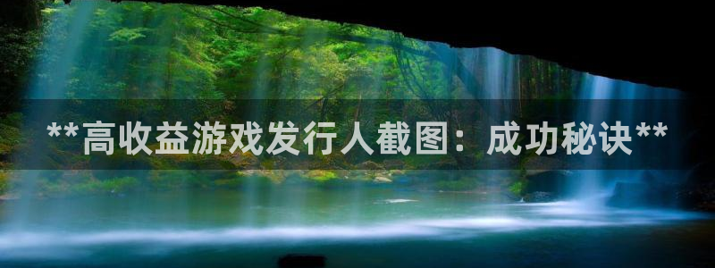 天辰平台网址：**高收益游戏发行人截图：成功秘诀**