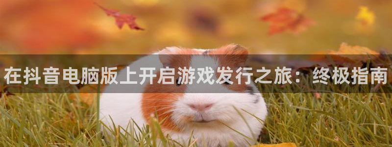 天辰注册会员要钱吗：在抖音电脑版上开启游戏发行之旅：终极指南