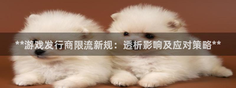 天辰平台雨 411o31 平台