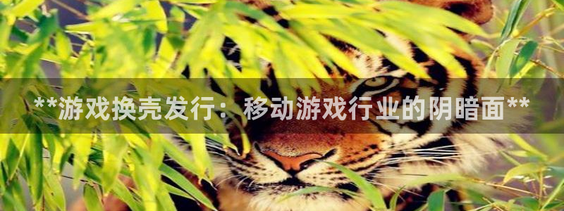 天辰平台害7O777：**游戏换壳发行：移动游戏行业的阴暗面**