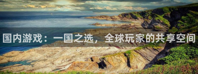 天辰平台听7O777：国内游戏：一国之选，全球玩家的共享空间