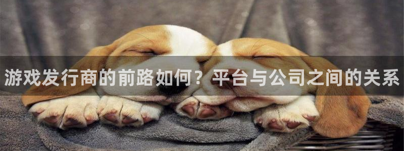 天辰平台会员登录不了：游戏发行商的前路如何？平台与公司之间的关系